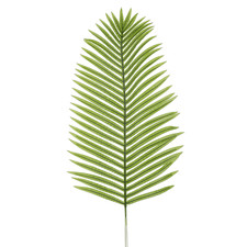 Deko-Areca-Palmwedel Palmzweig