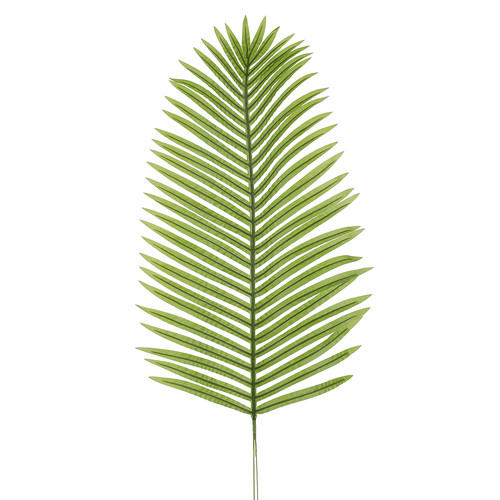 Deko areca palmwedel palmzweig - deko-areca-palmwedel,