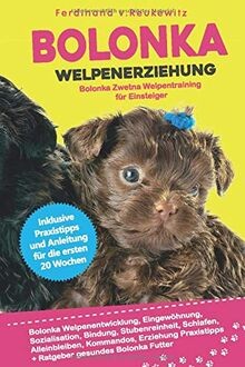 Bolonka welpenerziehung - bolonka,