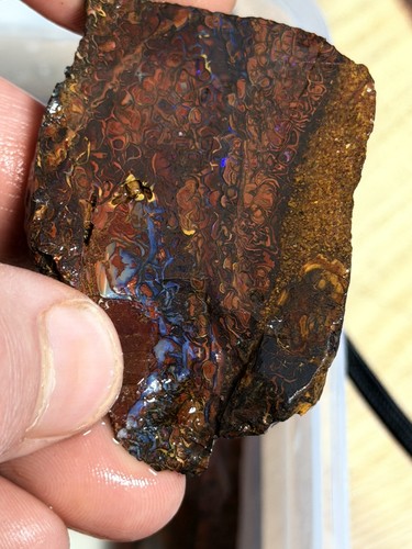 210cts australien koroit - 210cts,