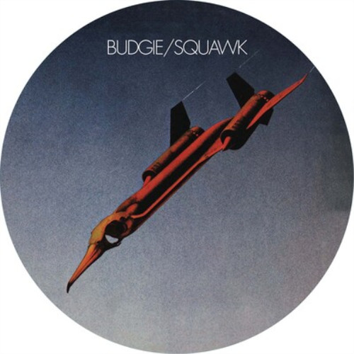 Budgie squawk - budgie,