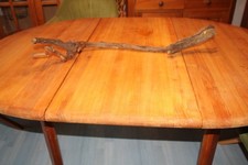 Wurzel Stock- Stück vom