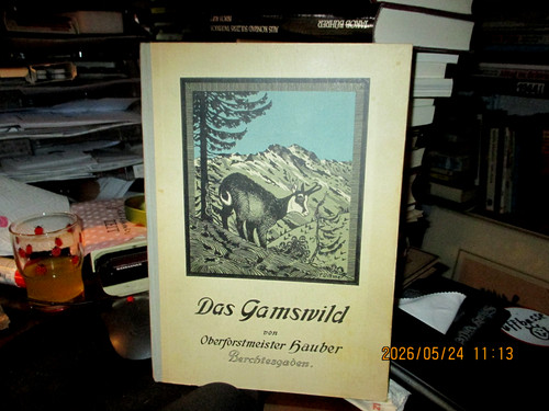 Gemse gams das gamswild - gemse/gams, gamswild"