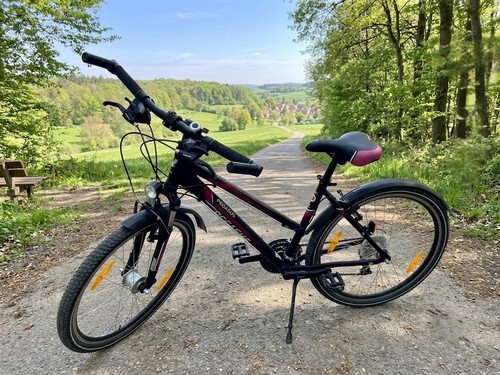Pegasus avanti damenfahrrad - avanti,