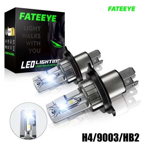 9003 auto lampen - 2x, h4