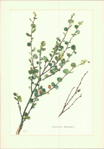 Sonderdruck claus caspari - claus,
