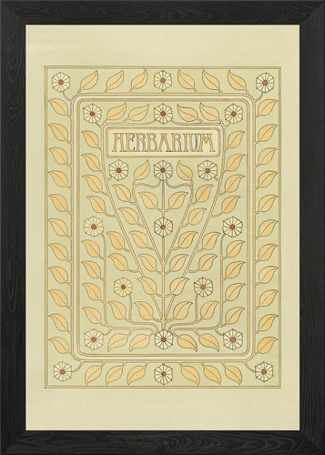 Herbarium bucheinband - herbarium,