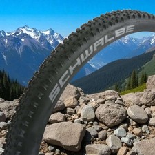 Schwalbe Racing Ralph