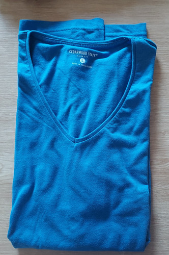 Cedarwood state shirt - cedarwood, v