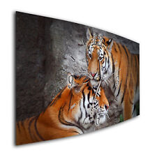 BM Wanduhr 44 cm x 22 cm  leises Uhrwerk Funkwanduhr 165-1a Afrika Tiger Katzen