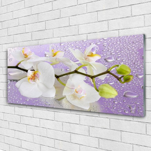 Glasbilder wandbild druck auf - druck,