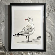 Majestätische Vogel