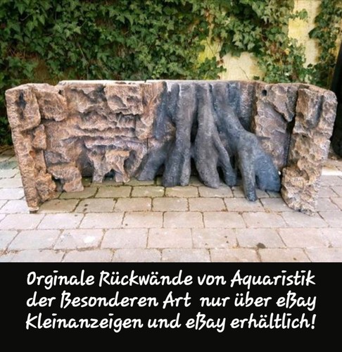 Aquarium rückwand amazonas - aquarium,