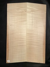 Riegelahorn TOP | Tonholz |