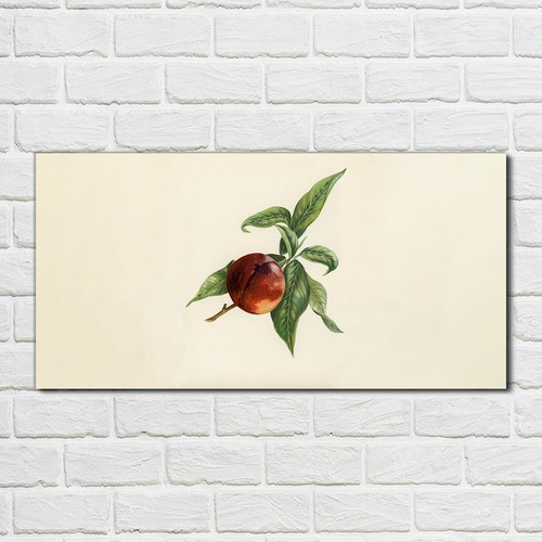 Wandbilder glasbild druck auf - wandbilder,