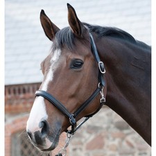 Horse guard lederhalfter - guard,