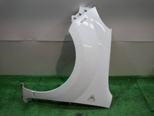 631011587R KOTFLÜGEL VORNE