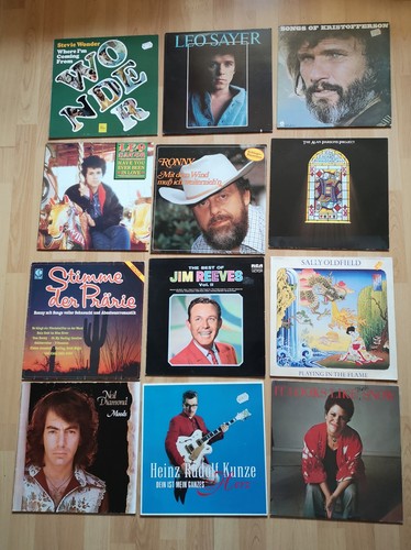 Vinyl rock pop leo - 24,
