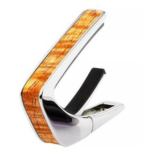 Used Thalia Shell Collection