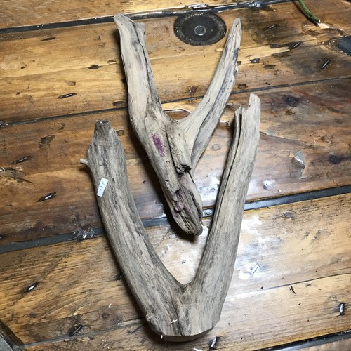 Treibholz schwemmholz holz ast - schwemmholz,