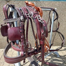 Top   Einspänner Brustblatt