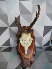 Abnormer Rehbock auf Holzbrett