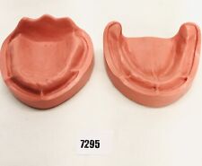 Arbeitsmodell OK + UK unbezahnt Zahnmodell Studienmodell Dental GEPFLEGT