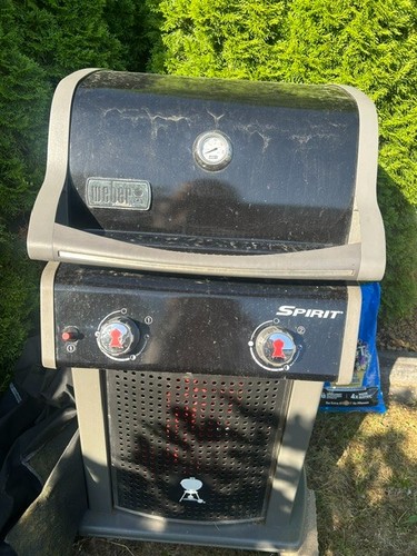 Der weber gasgrill spirit - der,
