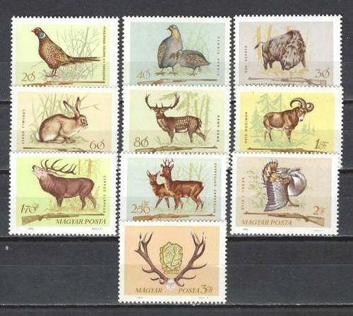 Ungarn 1964 jagd - 1964, und