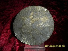 Mineralien-Pyrit-Sonne-Sparta-