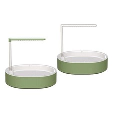 Papagei Vogel Badewanne