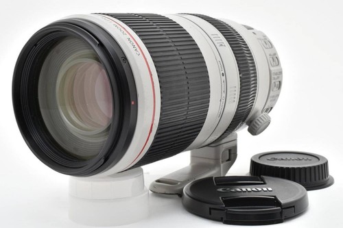 Canon 100 400 - 100-400, f4.5-5.6
