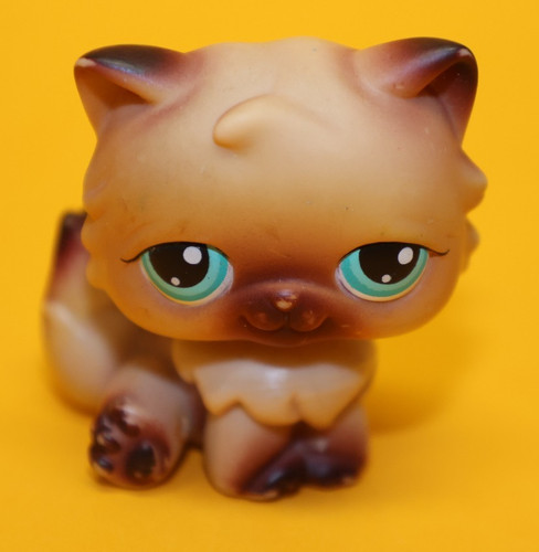 Hasbro littlest pet - littlest, katze