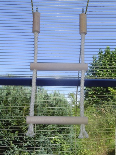 Pipano vogelschaukel - pipano,