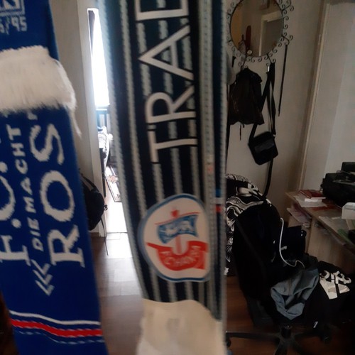 Hansa rostock satinschal - rostock,