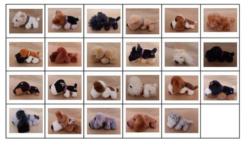The dog artist - , collection