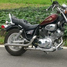 Virago 750 1100 Polish Dual