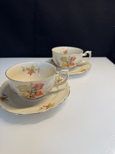 Sammeltassen 2 Stk. Vintage