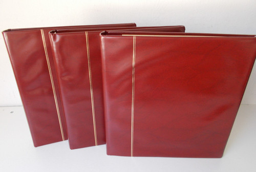 Safe ringbinder skai - ringbinder,