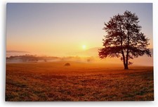 120x80cm Wandbild Baum