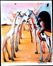 Salvador Dali - 50x40cm -