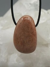 Echter MONDSTEIN apricot