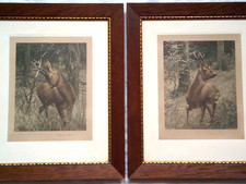 großes PAAR furnierte