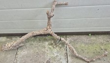 XL Korkast,Nager,Chinchillas,Reptilien,Schildkröten,Vogelvolieren# 4782