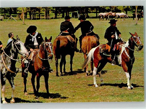 38065163 tracht criollo - tracht,