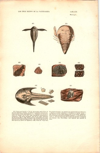 Antike handkolorierte - antike,