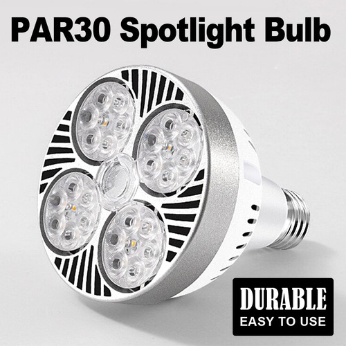 Par30 led light 220 - light, v