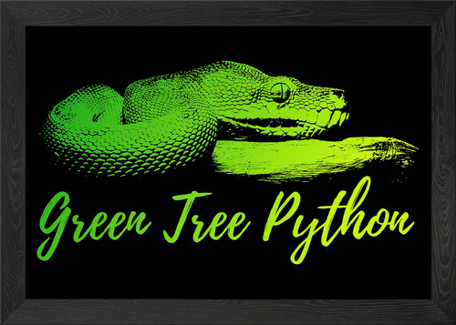 Green tree python owner - tree,