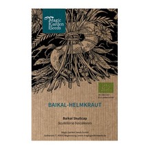 Baikal-Helmkraut /