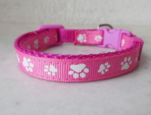Welpenhalsband leine set - welpenhalsband,